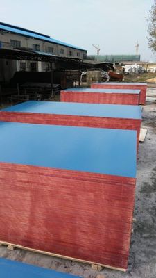 Plywood laminado de plástico de primeira classe com elevados padrões de produção e competitivo