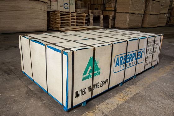 Plywood laminado de plástico de primeira classe com elevados padrões de produção e competitivo