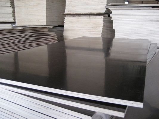 Materiais principais 6/9/12/15/18mm madeira contraplacada comercial para embalagem