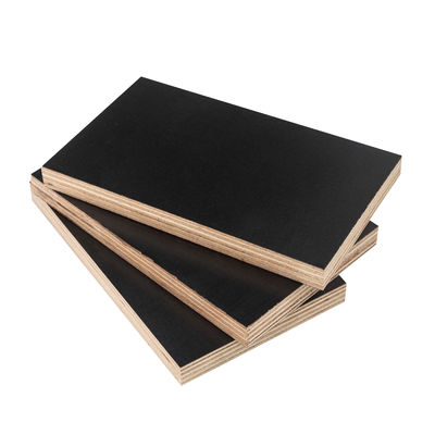 Plywood de núcleo de madeira de eucalipto de primeira classe com produção avançada de matéria-prima
