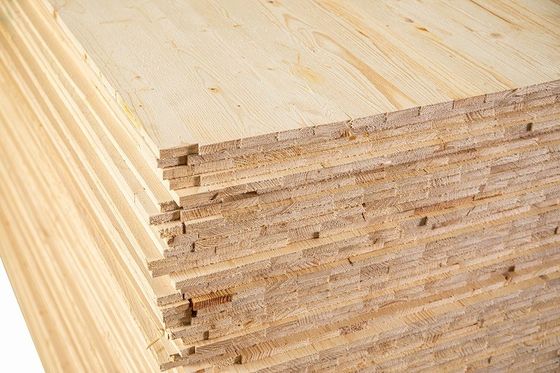 Material de painel não metálico Pleno núcleo de bétula Madeira contraplacada de bétula báltica para interiores modernos