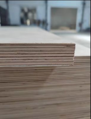 Madeira contraplacada laminada de melamina 3mm-21mm impermeável para decoração de hotéis