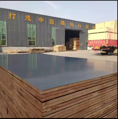 18 mm de contraplacado marinho de material de pinho filmado contraplacado para construção oferta limitada