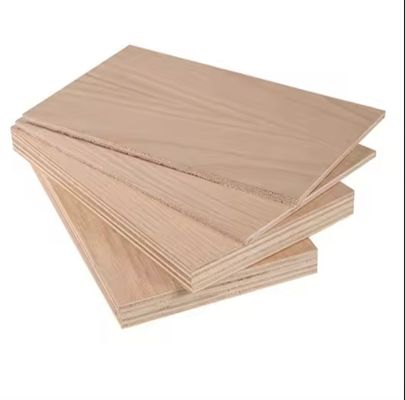 Material de painel não metálico 6mm 18mm 25mm Madeira de bétula Veneer Mobiliário contraplacado para trabalho interior