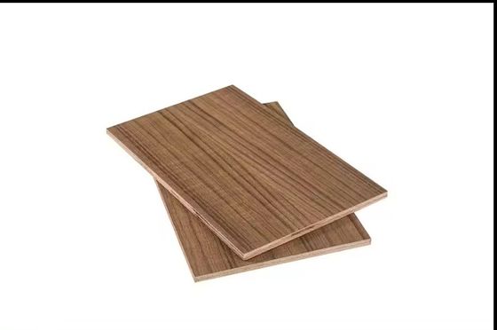 Material de painel não metálico 6mm 18mm 25mm Madeira de bétula Veneer Mobiliário contraplacado para trabalho interior
