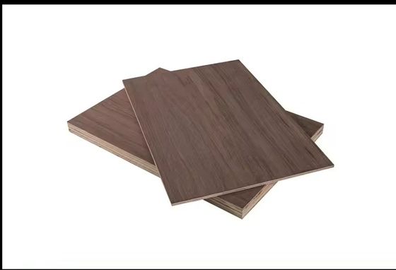 Material de painel não metálico 6mm 18mm 25mm Madeira de bétula Veneer Mobiliário contraplacado para trabalho interior